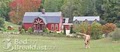 The Barn Inn Bed & Breakfast image 7