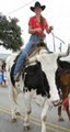 The Farmyard:  Pony Rides, Horseback Riding, Petting Zoo & "Cowboy the Ox"! logo