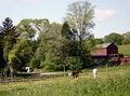 The Kids' Barn at Mooreland Equestrian Center image 3