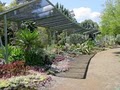 The Ruth Bancroft Garden image 2