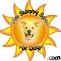 The Sunny Spot For Dogs LLC logo