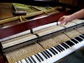 Thomas Lotito Pianos image 1
