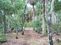 Tomoka State Park image 4