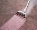 Total Carpet Cleaners,Llc. image 2