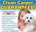 Total Carpet Cleaners,Llc. image 4