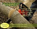 Tree Service image 2