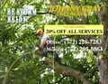 Tree Service image 1