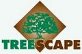 TreeScape Tree Experts and Landscaping image 1