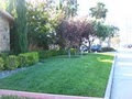 Triple Crown Landscaping Co image 3