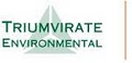 Triumvirate Environmental image 1