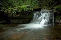 "Trout House Falls"- Secluded Waterfall Cabin image 2