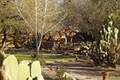 Tubac Country Inn image 5
