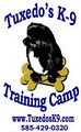 Tuxedo's K9 Training Camp image 2