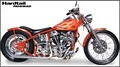 Twin Thunder Motors: WLA Harley Repair, Parts, Service image 1