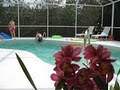 Villa Three Palms - Ferienhaus in Cape Coral, Florida, image 8
