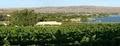 Vin Du Lac Winery image 4