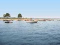 Waterpoint Marina on Lake Conroe. Boat and Jet Ski Rentals image 4