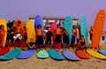 Wave Hog Surf Shop LLC image 3