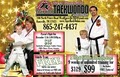 West Knoxville Tiger-Rock TaeKwonDo Academy image 3