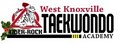 West Knoxville Tiger-Rock TaeKwonDo Academy image 5