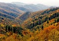 Western Carolina Rentals. Com image 8