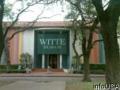 Witte Museum logo