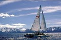 Woodwind Sailing Cruises logo