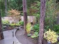 Woody's Custom Landscaping Inc image 5