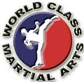 World Class Martial Arts image 1