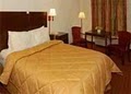 comfort inn & suites image 9