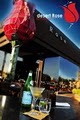 desert Rose Restaurant image 2