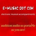e-musac | electronic musical accompaniments image 2