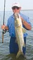 everglades fishing image 3