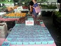 union square Greenmarket image 5