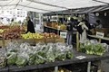 union square Greenmarket image 7