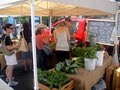 union square Greenmarket image 9
