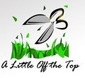 A Little Off the Top Landscaping and Lawn Service logo