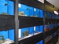 AAnimal Wonders Pet Store image 3