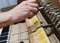 Ace Piano Tuning | Technician Repairs image 10