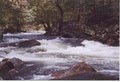 Adventurous Fast Rivers Rafting image 3