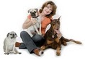 Affectionately Yours Pet Sitting Service logo