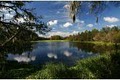 Alafia River State Park image 3