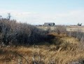 Alamosa National Wildlife Refuge image 2