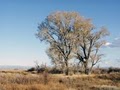 Alamosa National Wildlife Refuge image 6