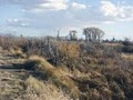 Alamosa National Wildlife Refuge image 7