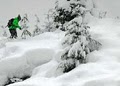 Alpine Sports logo