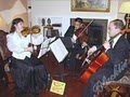 Amadeus String Ensembles image 1