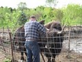 Anderson Tree Farm image 1