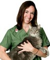 Ann Arbor Animal Hospital: image 7
