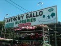 Anthony Gallo Nurseries logo